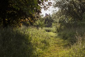 orsi_kertje-007-IMG_1550