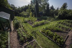 orsi_kertje-149-IMG_2243