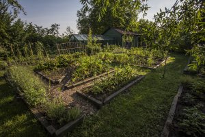 orsi_kertje-053-IMG_1736